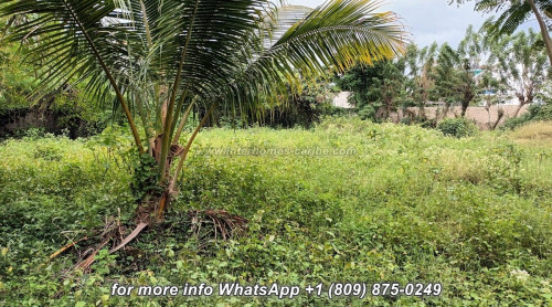 photos for SOSUA: BUILDING LOT OF 1,089 M² IN A CENTRAL LOCATION